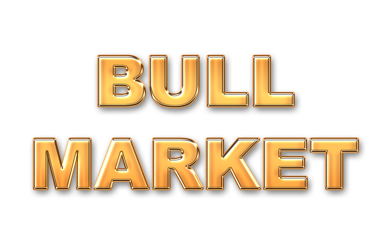 Bull Market, Investment