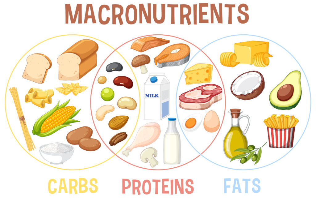 Macronutrients, Carbs, Proteins, Fats, Nutrition, GMS, Grow Money Skill