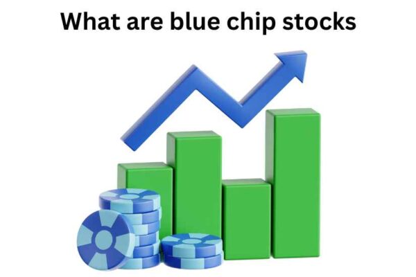 What are blue chip stocks